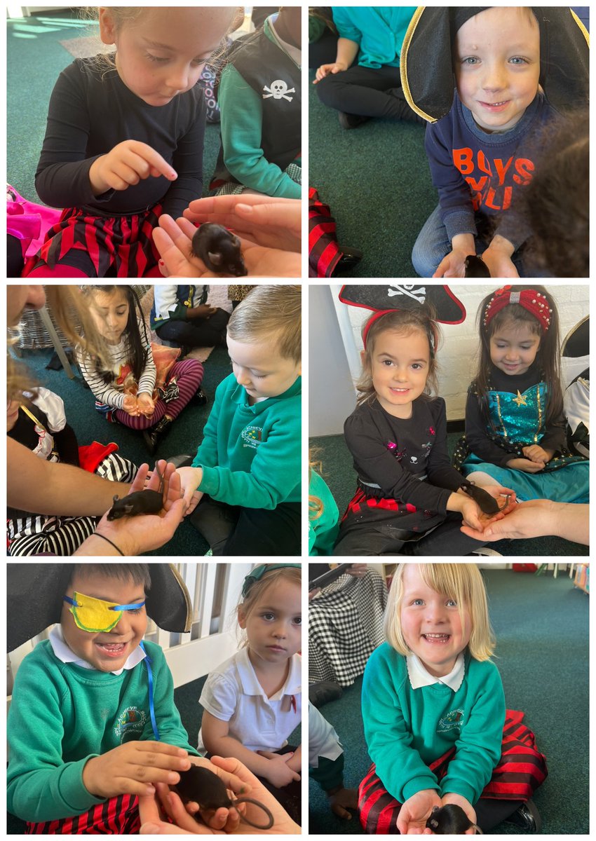 Dosbarth Derbyn are super lucky to have been treated to an animal experience. We got to meet a big  furry fox, a tiny brown mouse, a fluffy meerkat, a slithery snake and a cute little owl 🥰