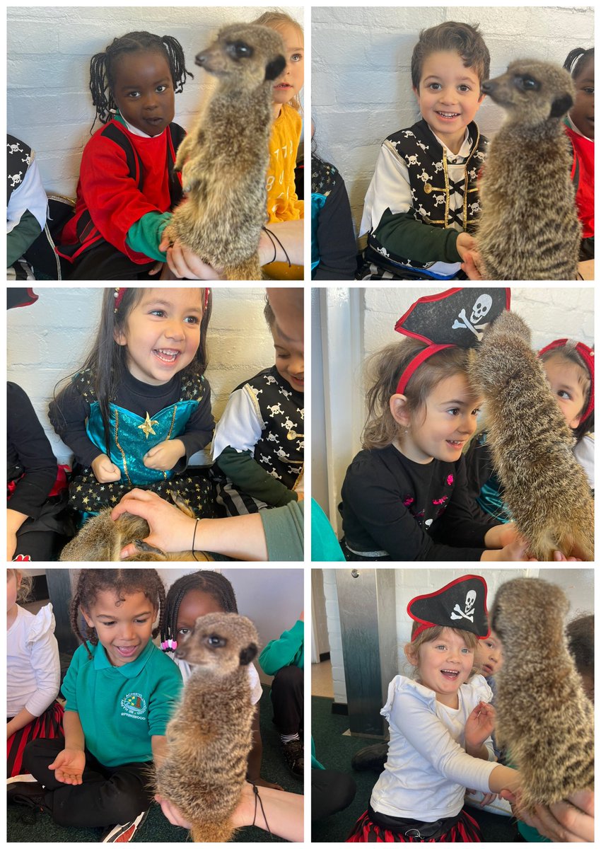 Springwood Primary School tweet media