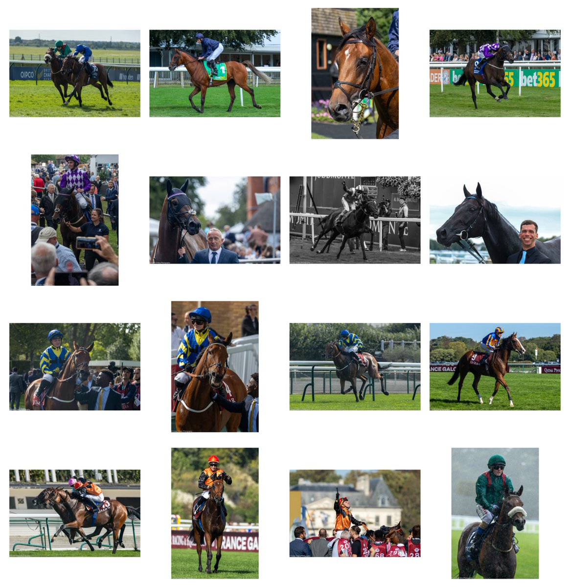 𝗖𝗮𝗿𝘁𝗶𝗲𝗿 𝗔𝘄𝗮𝗿𝗱𝘀 𝟮𝟬𝟮𝟯
It struck me that I have managed to catch all 7 award winning horses in the flesh. What an absolute pleasure it has been and feel very lucky to have done so.
#UnderstandingWife #BudgetBlown #lovehorses #horsepower #cartierawards