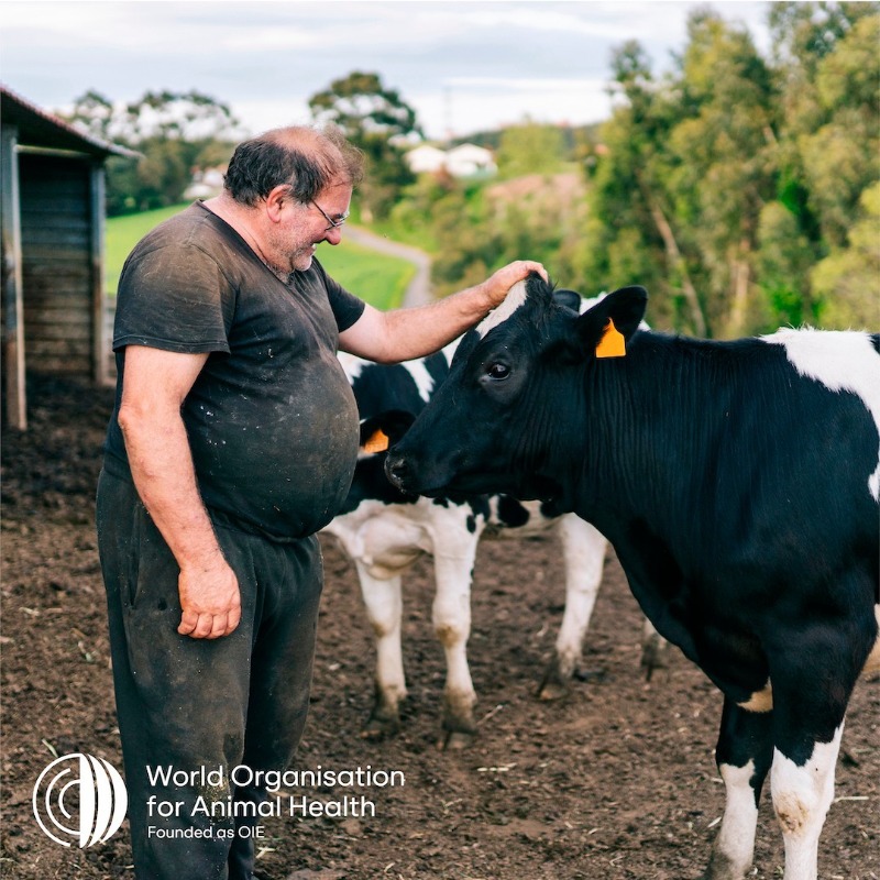 The impact of disease outbreaks on animals, humans, livelihoods & ecosystems has never been more evident. With our Members, we're creating a more #sustainable world, recognising that #animalhealth is essential to a safer future. Animal health is our health. It’s #EveryonesHealth.
