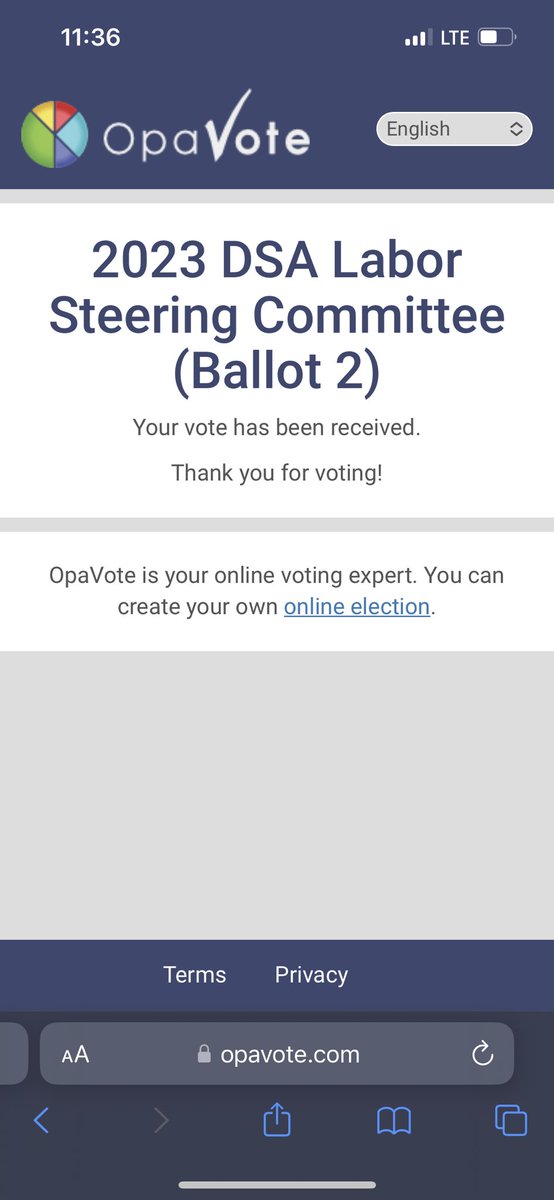 emily lemmerman tweet media