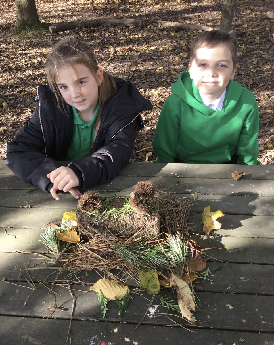 BrynHafodPrm's tweet image. Blwyddyn 5 Glas managed to dodge the rain and get outside to create some natural art inspired by @andygoldsworthy 
#ForestFun #outdoorlearning