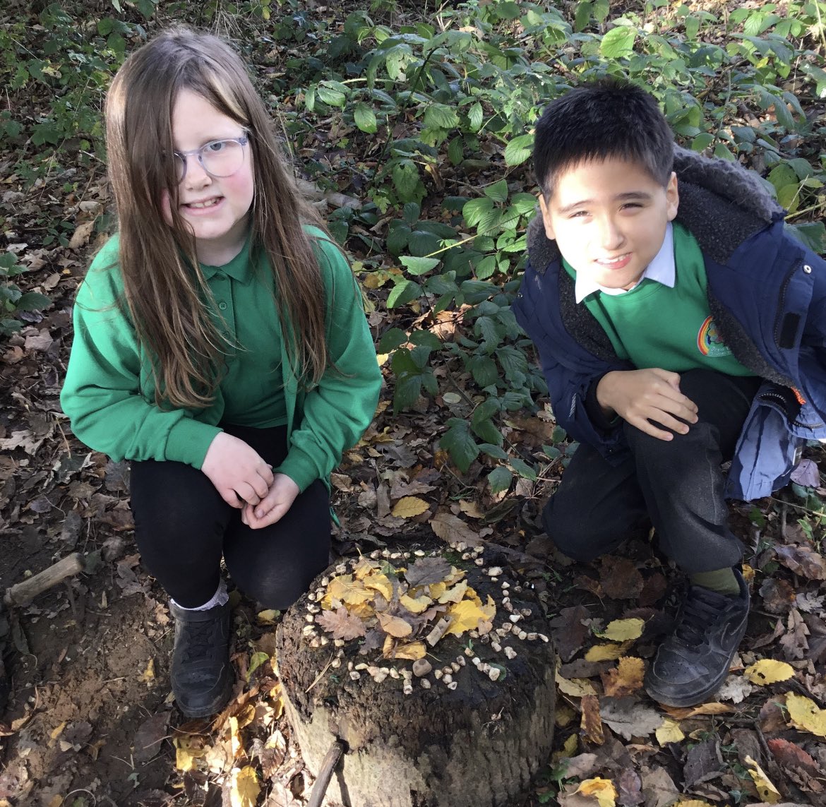 BrynHafodPrm's tweet image. Blwyddyn 5 Glas managed to dodge the rain and get outside to create some natural art inspired by @andygoldsworthy 
#ForestFun #outdoorlearning