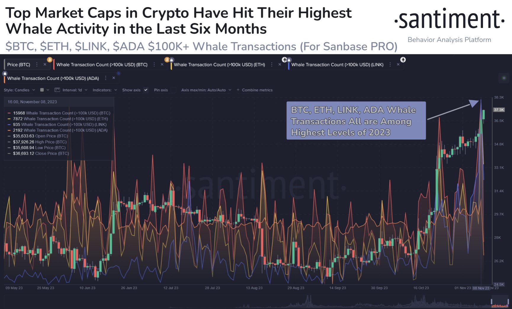 Cryptocurrency Prices & Marketcap – The Daily Hodl