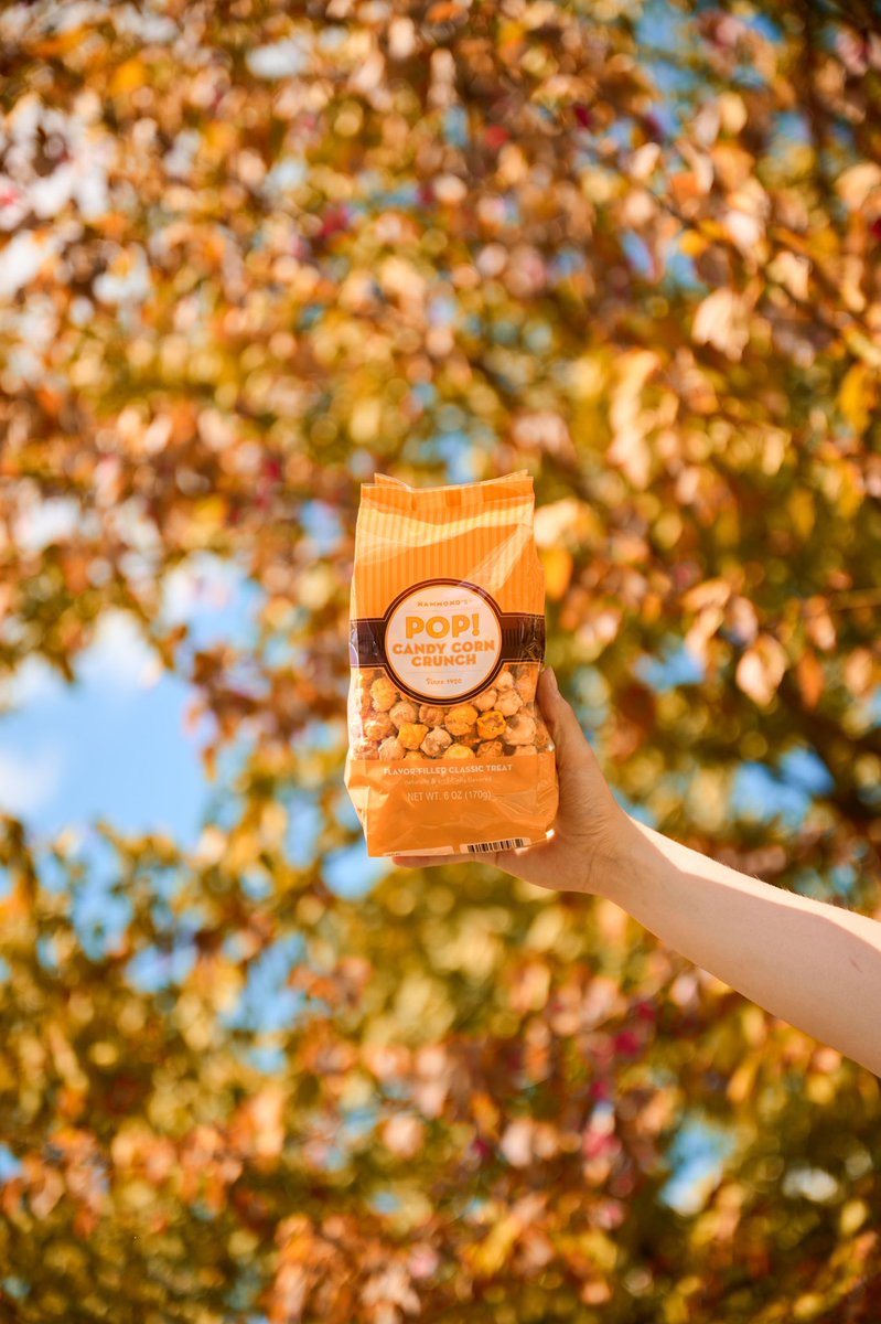 Fall vibes at its finest. 🍁