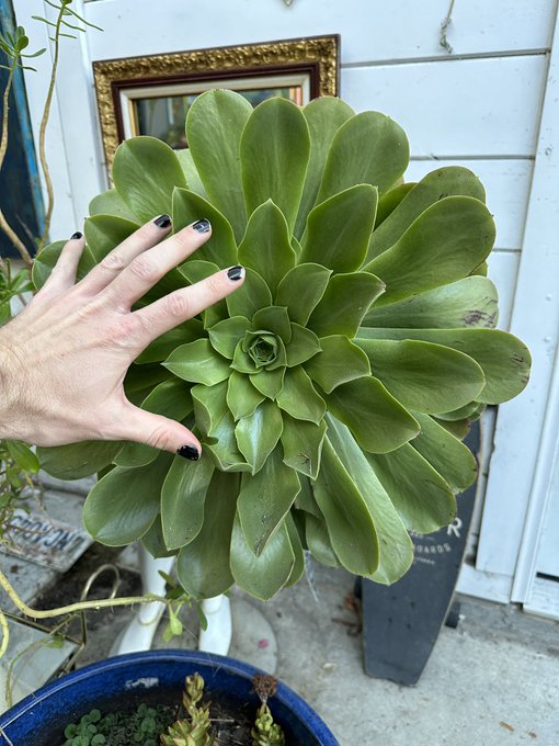 I enjoy photo dumps that act like a journey through my personality. https://t.co/zwoS3Que9B