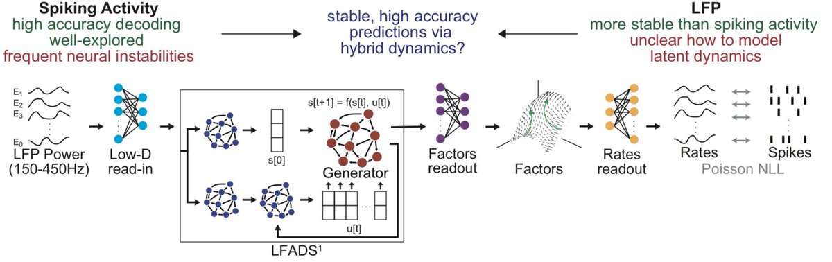 Brianna Karpowicz (@bkarpowicz_) on Twitter photo If youβll be at SfN 2023, come check out my poster with <a href="/BareeshB/">Bareesh Bhaduri</a> on Wednesday morning! To boost BCI stability, we use hybrid dynamics models to generate high accuracy predictions of behavior from LFP.
PSTR 488.07 / JJ18 If youβll be at SfN 2023, come check out my poster with <a href="/BareeshB/">Bareesh Bhaduri</a> on Wednesday morning! To boost BCI stability, we use hybrid dynamics models to generate high accuracy predictions of behavior from LFP.
PSTR 488.07 / JJ18