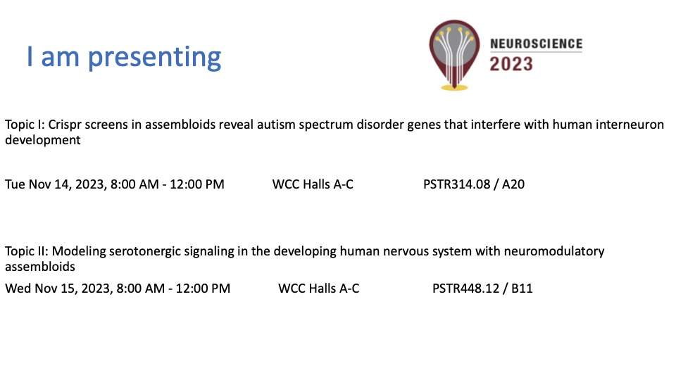 I am presenting two posters at the coming SFN. Please stop by if you are interested in combining CRISPR screening and brain organoids to study Autism or using brain organoids to study neuromodulation.