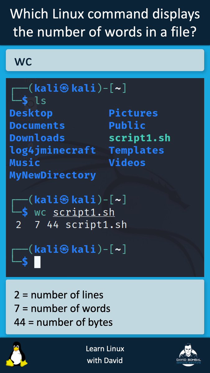 davidbombal's tweet image. You need to learn Linux!

#Linux #KaliLinux #Ubuntu #hacking #Cybersecurity #infosec #cyber
