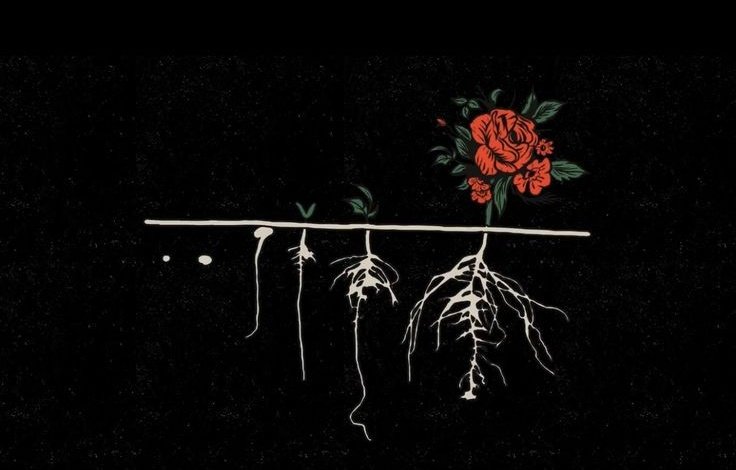 Kelamkalesi's tweet photo. "Sınır koymayı öğrenin. İyi insan olmak her şeye katlanmak anlamına gelmez." https://t.co/mfVq67E76Q