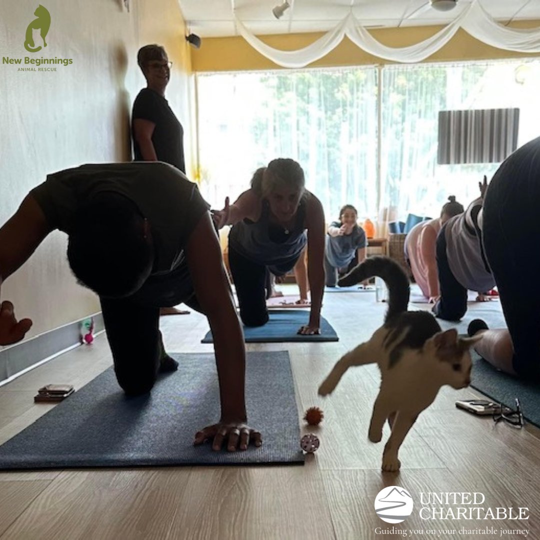 United Charitable tweet media