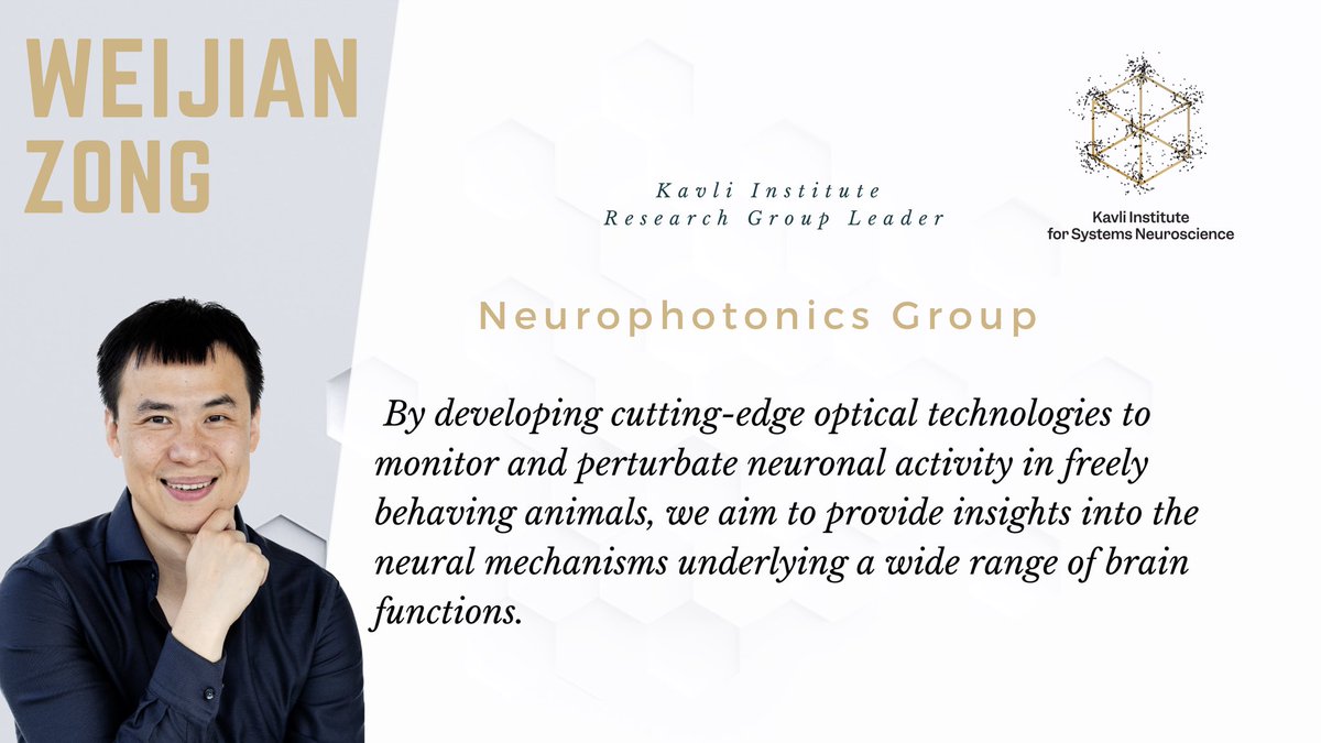Welcome Weijian Zong as research group leader at @NTNU’s Kavli Institute! @WikiZong is already a familier name, as the brilliant mind behind @TheMini2P, developed in collaboration with the Moser Group. Zong will head our Neurophotonics Group: ntnu.edu/kavli/zong-gro…