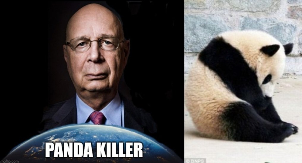 Dedicata's tweet image. #DefundWEF
#ArrestKlausSchwab