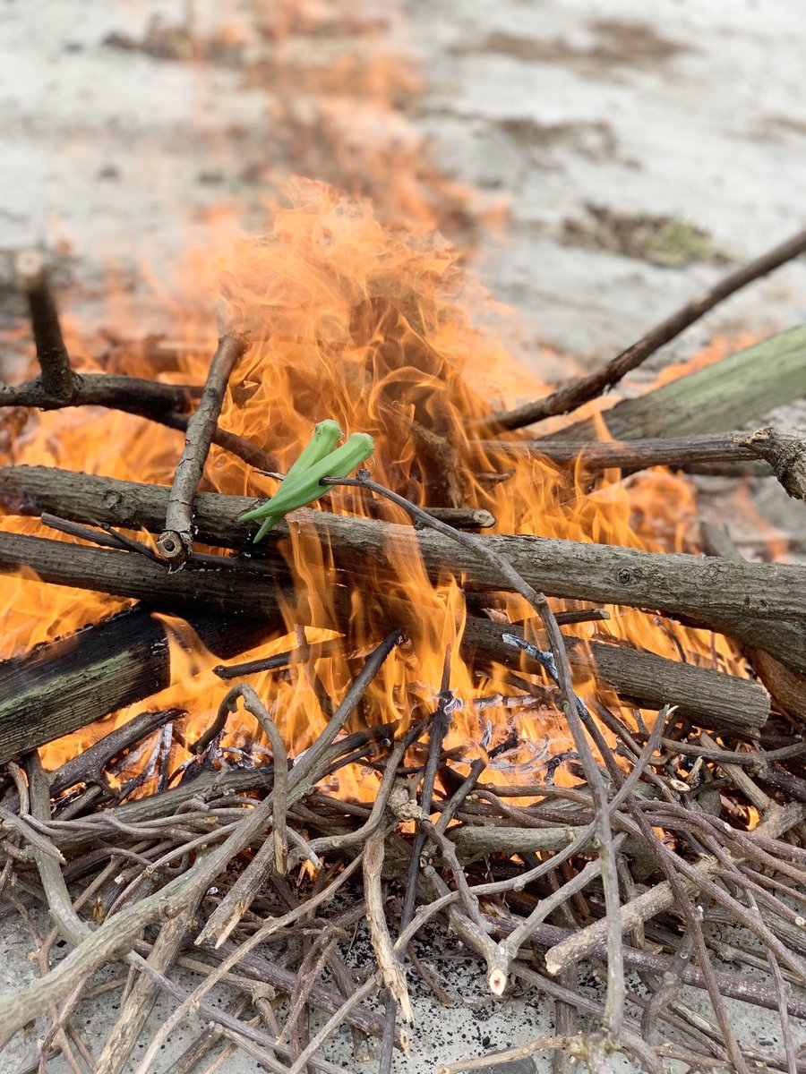 So cold, so do bonfire
#OneDayJapan #bonfire #Japan