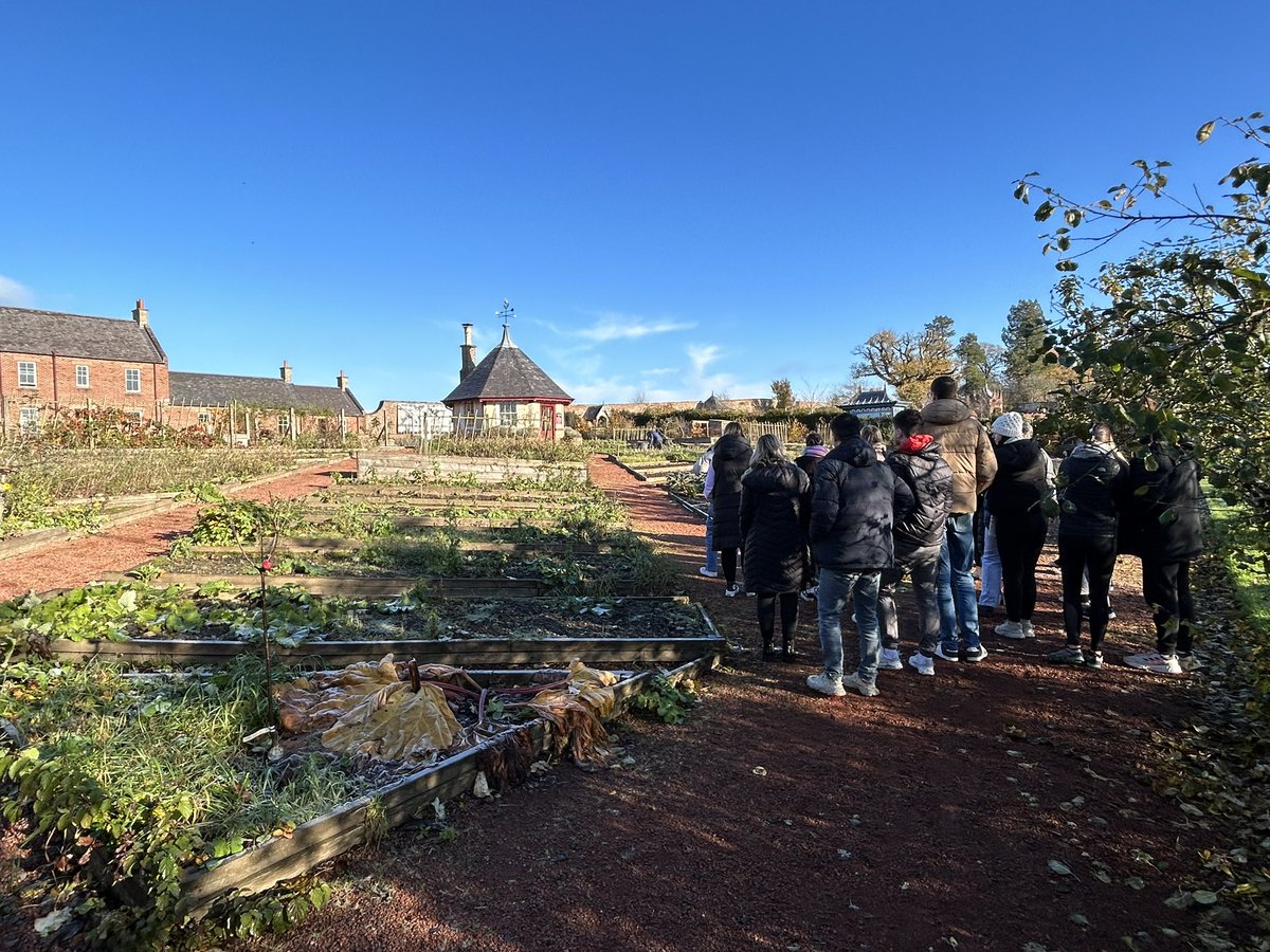 UWS BA Primary tweet media