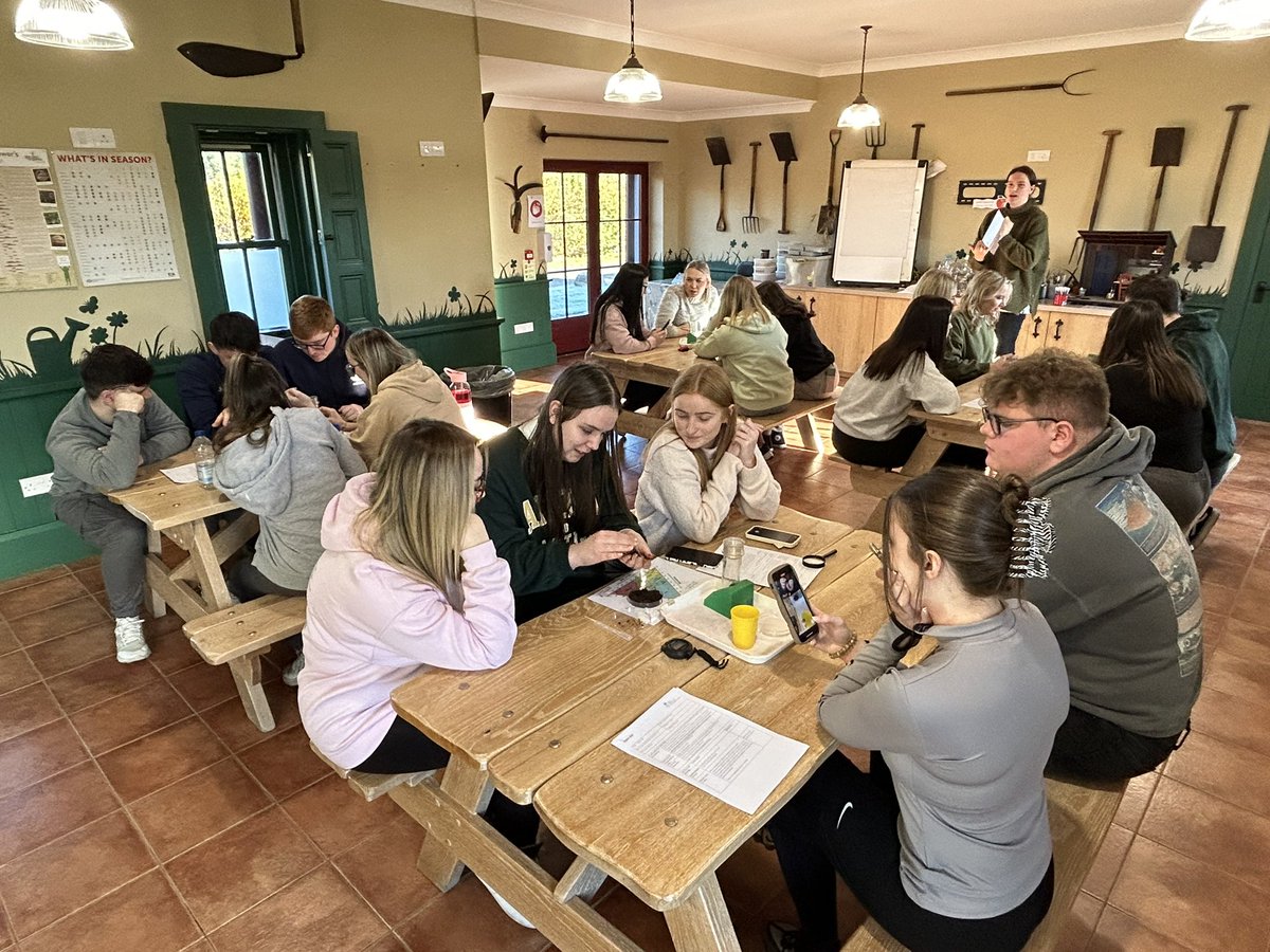 UWS BA Primary tweet media