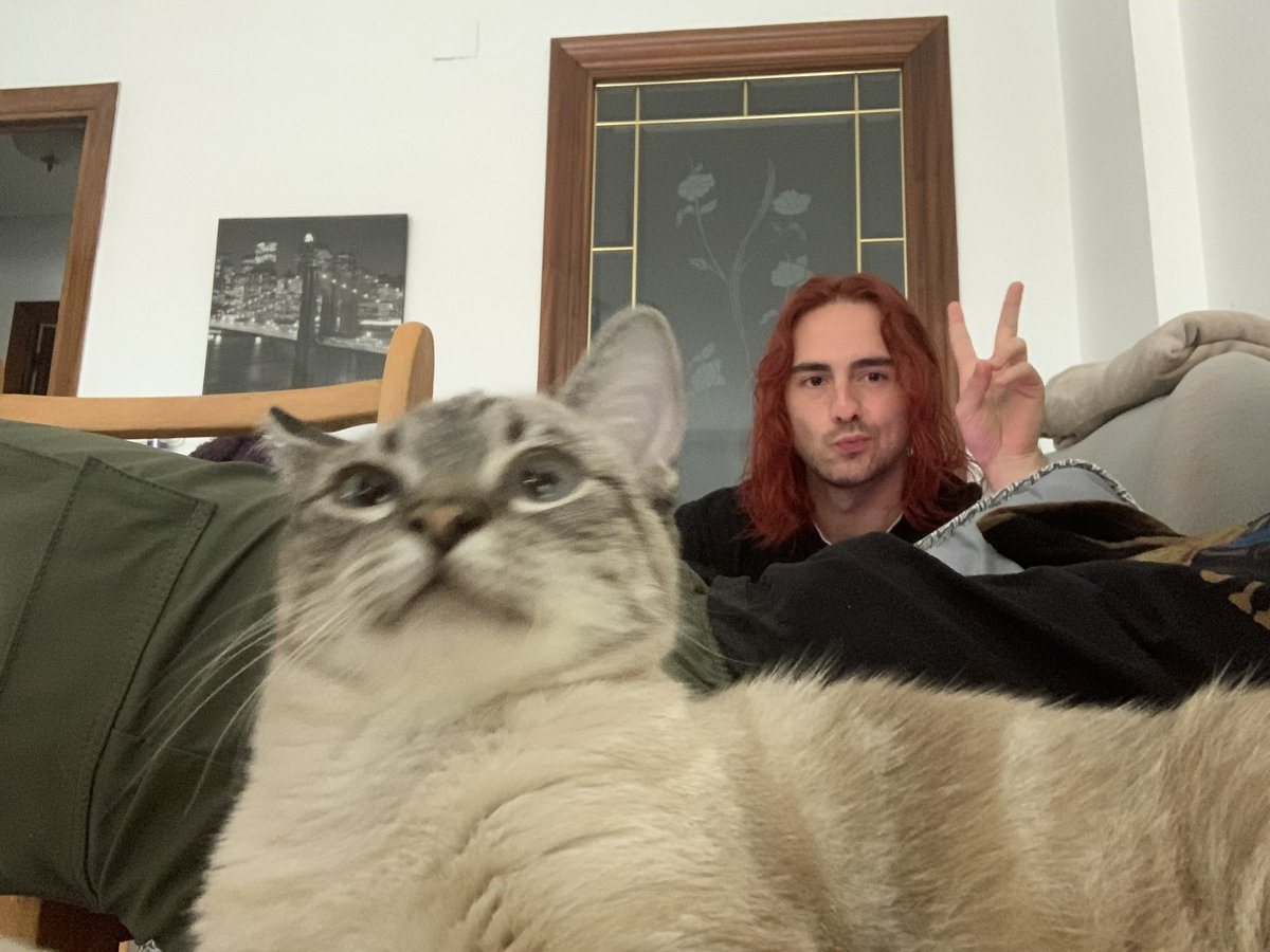 jaavart's tweet photo. #artvsartist and my cat✨ https://t.co/xZnramNEN0