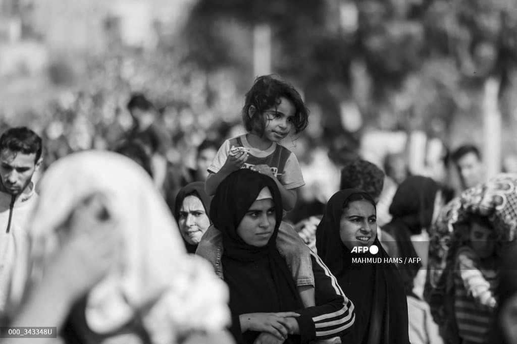 MuhammadSmiry's tweet photo. Nakba - 2023 https://t.co/OcWkQvJopT