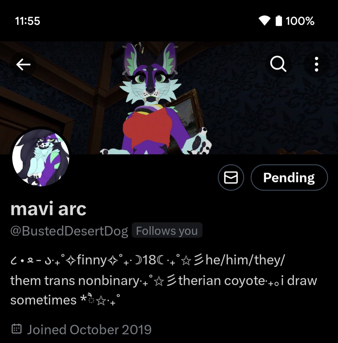 OllieTheYeen➡️FE🐋🐬➡️ CANFURENCE🦊🐾 tweet media