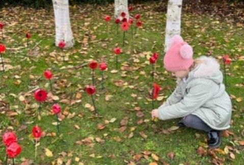 CedarCATSAT's tweet photo. For Remembrance Day, every child created a poppy from a plastic bottle and have planted it in remembrance.

This has created a rather impressive array of poppies in the entrance to our school and the children loved creating them.

#WeAreCedar #WeAreTSAT #RemembranceDay https://t.co/qVSDneEcl0