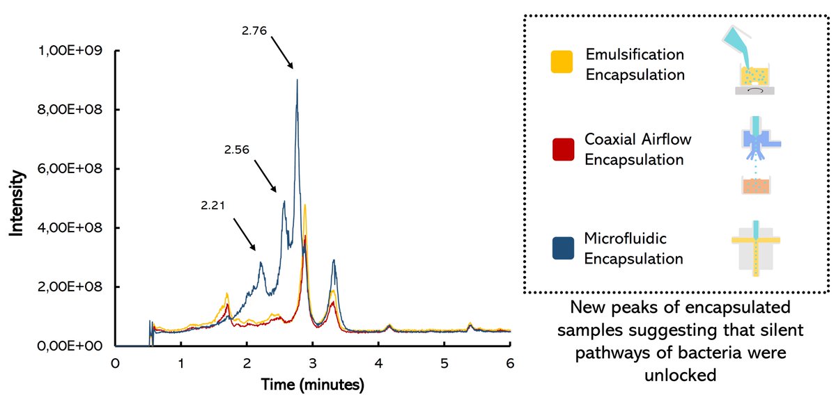 Ali Ahmadi (@aliahmadik) on Twitter photo Our recent paper highlights that
microencapsulating bacteria using #microfluidics leads to activating silent biosynthetic pathways and consequently production of putatively new secondary metabolites. doi.org/10.1016/j.crbi…
<a href="/Drchriscartmell/">Chris Cartmell</a> <a href="/etsmtl/">École de technologie supérieure</a> <a href="/CRCHUM/">Centre de recherche du CHUM</a> Our recent paper highlights that
microencapsulating bacteria using #microfluidics leads to activating silent biosynthetic pathways and consequently production of putatively new secondary metabolites. doi.org/10.1016/j.crbi…
<a href="/Drchriscartmell/">Chris Cartmell</a> <a href="/etsmtl/">École de technologie supérieure</a> <a href="/CRCHUM/">Centre de recherche du CHUM</a>