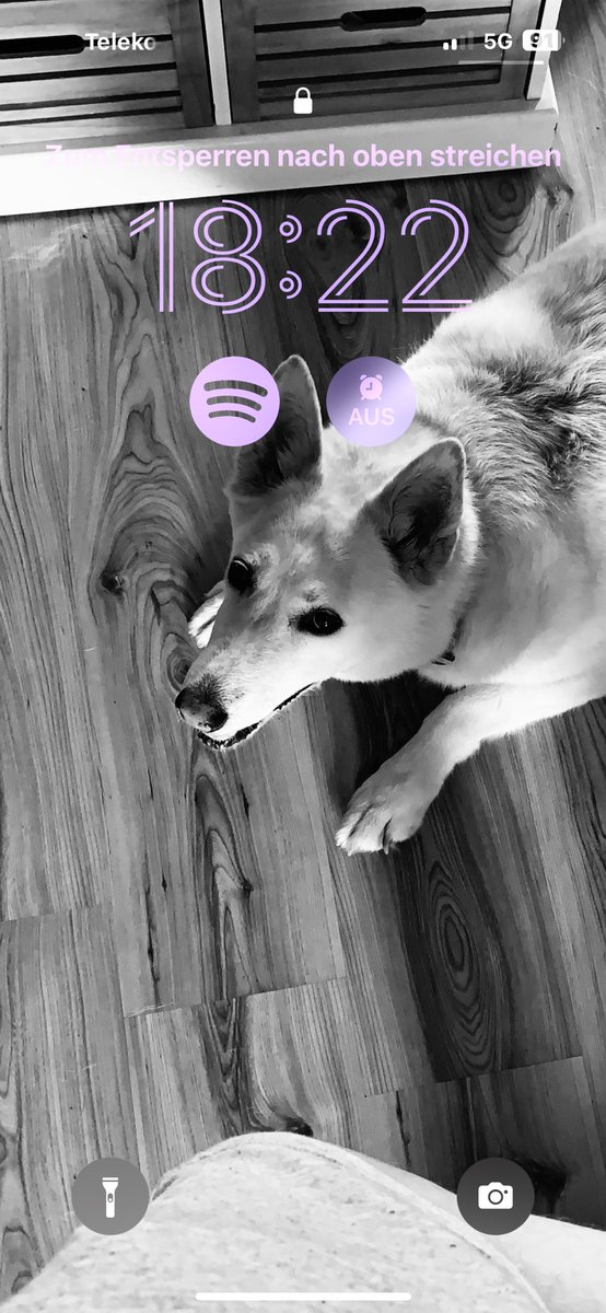 KoManSkiTV tweet media