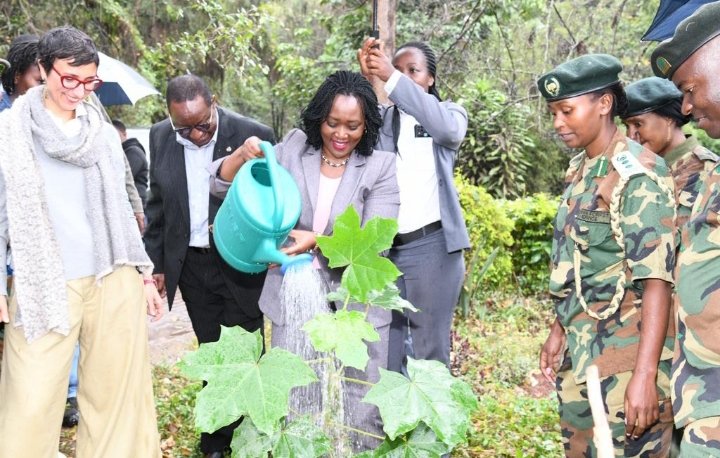 TaitaForum's tweet photo. 🌳 Monday November 13th is a special day dedicated to planting trees countrywide! 🌍🌱let's come together for a greener, healthier future. 🌳✨ We urge everyone to participate in this nationwide tree-planting initiative.
#TreePlantingDay #Sustainability #GreenFutureAhead https://t.co/Y4E6pYKNww