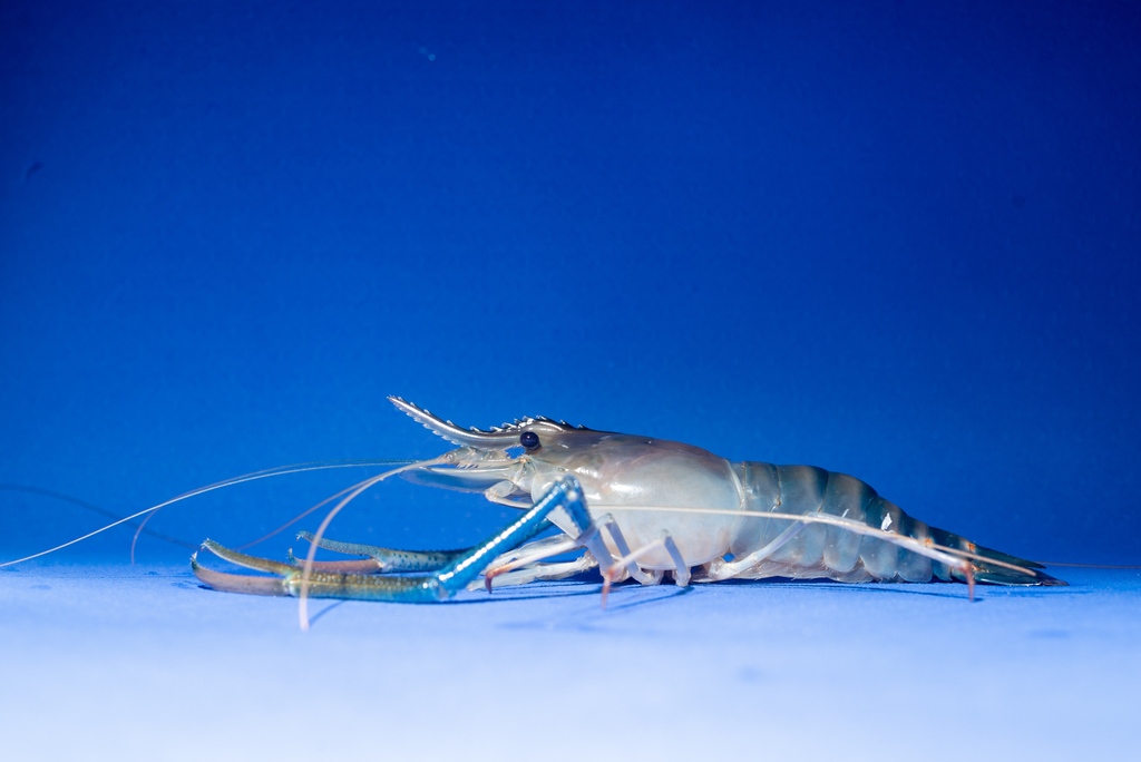 NOOR is proud to present a new chapter of Visualising the Climate Crisis, a visual storytelling mentoring programme bringing forth a plurality of climate stories across continents. noorimages.com/visualising-cl…