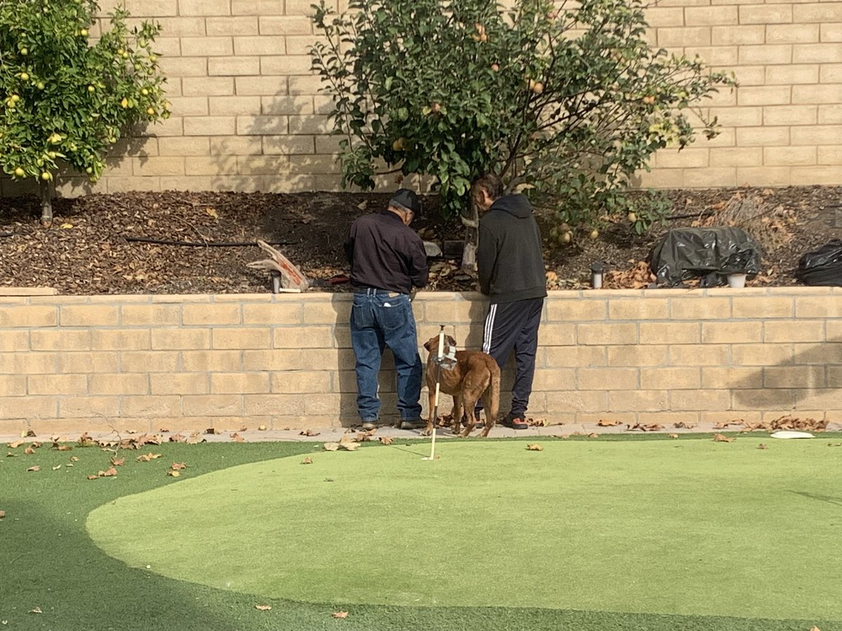 Amabel Puga tweet media