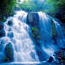 EWatsonwo's tweet photo. Nature speaks out loud n clear https://t.co/1aCkurFHX9
