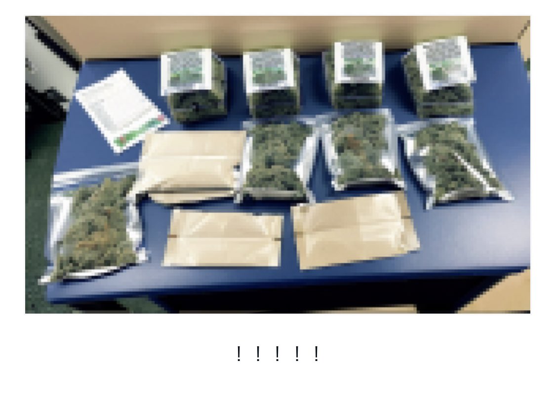 魂川りんり🌲大宇宙倫理の会 tweet media