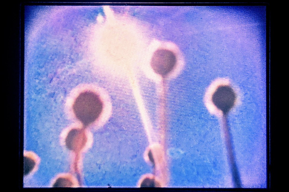 valentina (@imagedeleted) on Twitter photo 