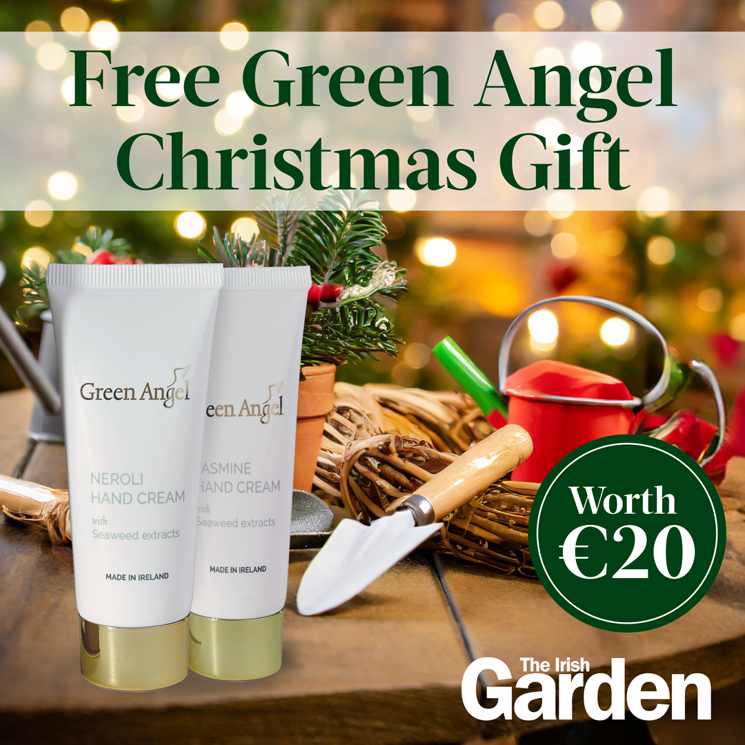 🎄Festive gift offer! Subscribe to The Irish Garden for just €40 and get two Green Angel hand creams worth €20 free. Make sure you or the gardener in your life never misses an issue by subscribing to The Irish Garden magazine. Sign up ⏩ eu1.hubs.ly/H0698sd0
