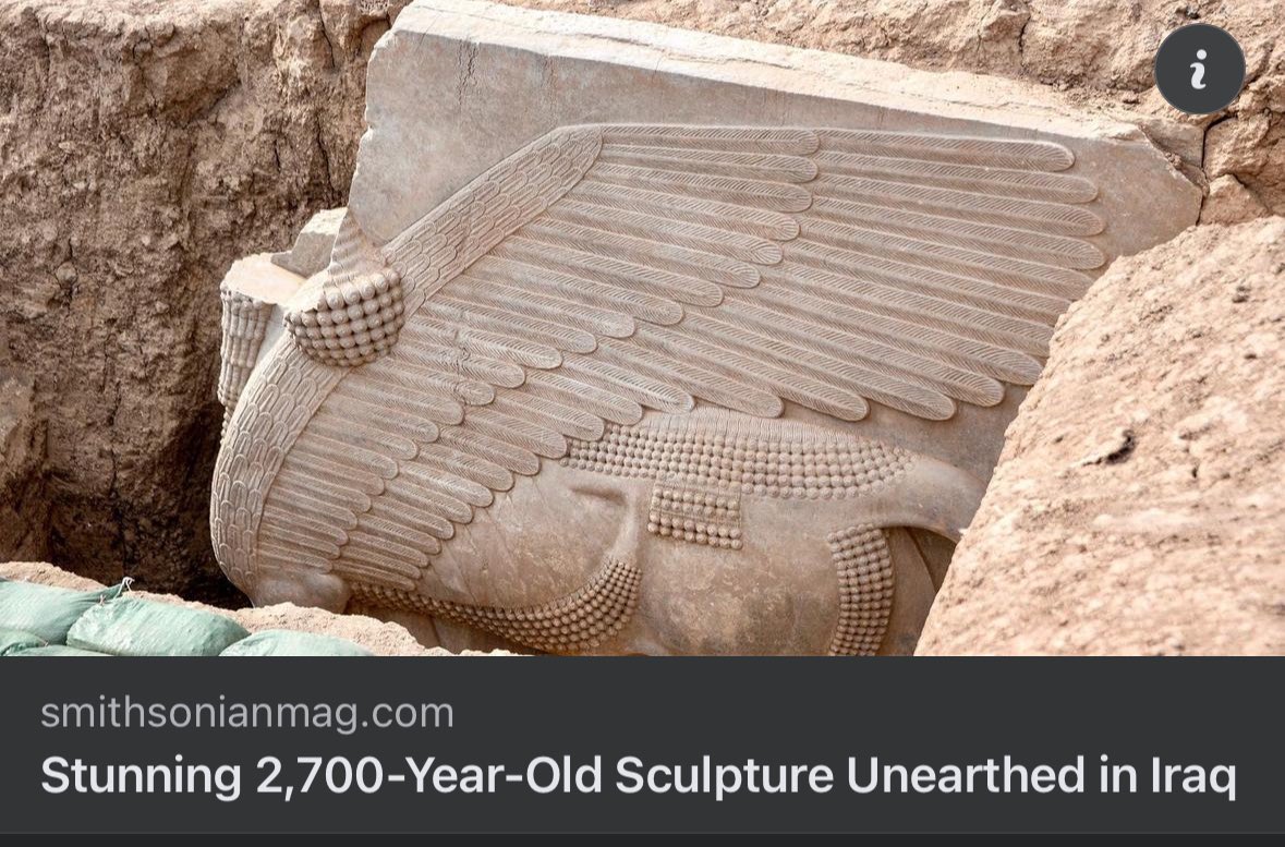 Ramsen ♔ ܪܡܣܢ tweet media