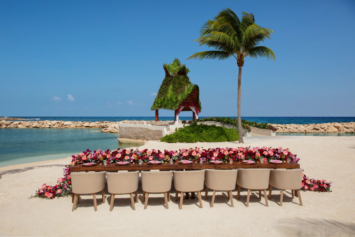 FianceeBodas's tweet photo. El inicio de una historia de amor, di que sí de la mano de nuestros expertos en bodas, @DreamsAventuras @DreamsResortsMX
Visita el link: https://t.co/dnuUfGKdBN
#DreamWedding #DreamsResorts #paradisewedding #honeymoon #perfectlocation #RivieraMaya #CaribeMexicano https://t.co/IopBMteUL6