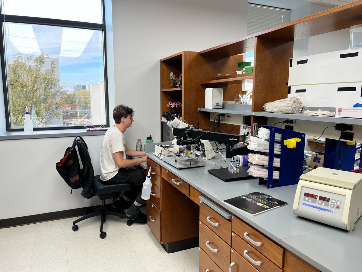 Donthamsetti_Lab tweet media