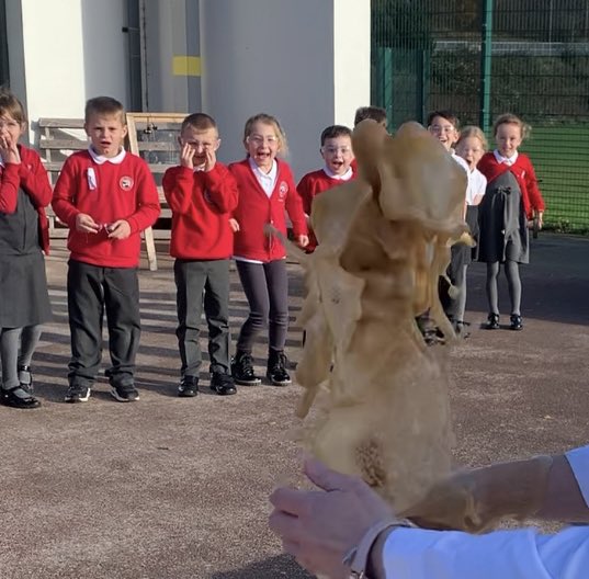 Dosbarth Abertawe (@ids_abertawe) on Twitter photo Zoom in on the faces of the pupils during today’s Science experiment. The look of pure excitement and awe is what Foundation Phase teaching and learning is all about! 🥰 <a href="/IDS3to18/">Idris Davies School 3_18</a> <a href="/IDS_Science/">@IDS_Science</a> <a href="/IDS_Mrs_Evans/">Mrs Evans</a> Zoom in on the faces of the pupils during today’s Science experiment. The look of pure excitement and awe is what Foundation Phase teaching and learning is all about! 🥰 <a href="/IDS3to18/">Idris Davies School 3_18</a> <a href="/IDS_Science/">@IDS_Science</a> <a href="/IDS_Mrs_Evans/">Mrs Evans</a>