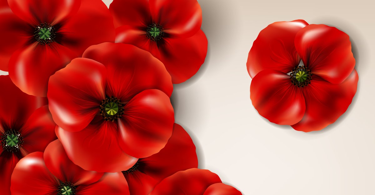 Today, we reflect on and express our appreciation for the immense sacrifices made by countless Canadians and their families in service to our nation, through history up to the present day. #lestweforget #RemembranceDay2023