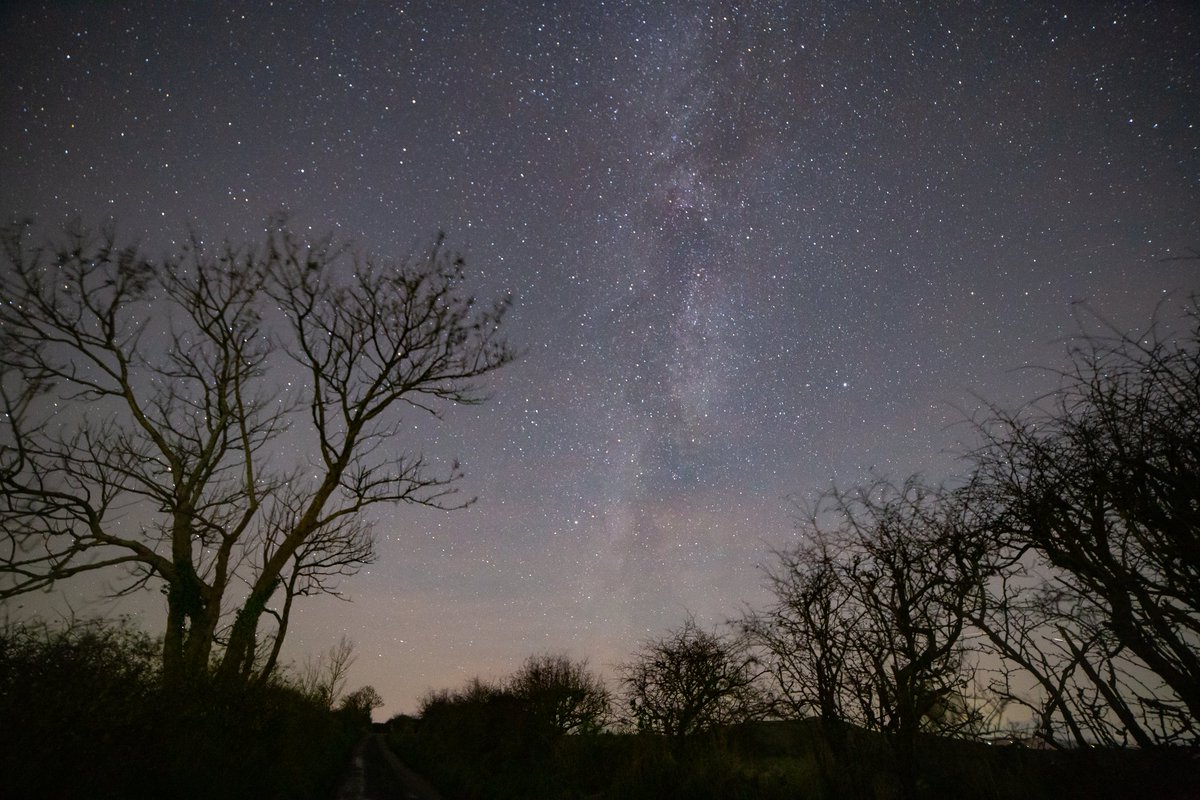 Cool, dark and sparkling ✨️ in the hills tonight, and that was just the company #lookup #milkyway #clearskies #specialfriend