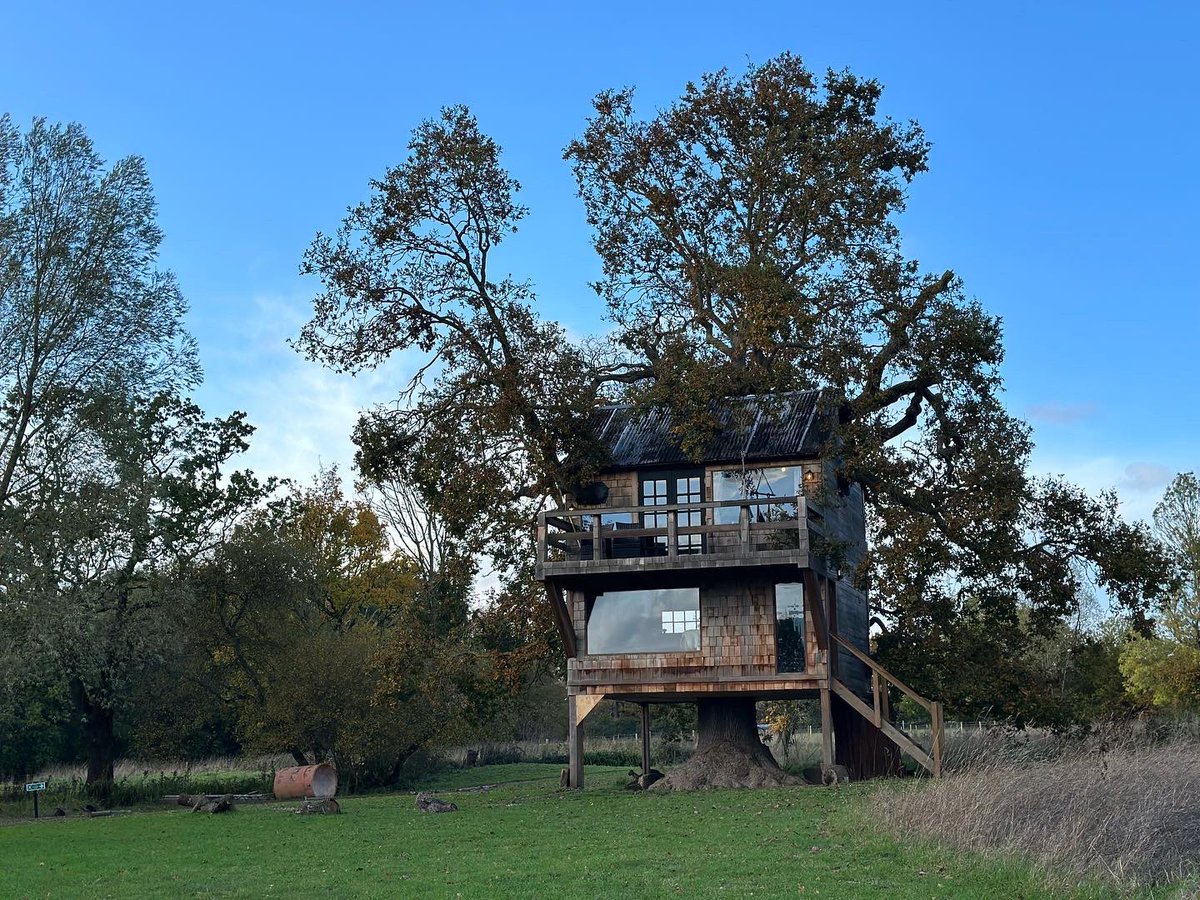sometimeredhead's tweet image. I just got back from a lovely couple of nights break at Coleman’s Farm, Ongar staying in the Old Oak Treehouse. It was wonderfully relaxing and so peaceful! #Treehouse #ColemansFarm #OldOakTree #SelfCare #SoloTrip #Nature #NotAnAd #IPaidForThisTrip