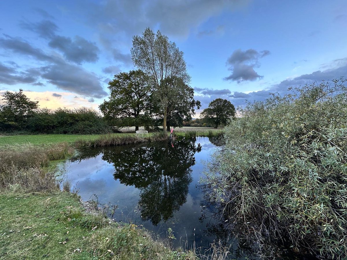 sometimeredhead's tweet image. I just got back from a lovely couple of nights break at Coleman’s Farm, Ongar staying in the Old Oak Treehouse. It was wonderfully relaxing and so peaceful! #Treehouse #ColemansFarm #OldOakTree #SelfCare #SoloTrip #Nature #NotAnAd #IPaidForThisTrip