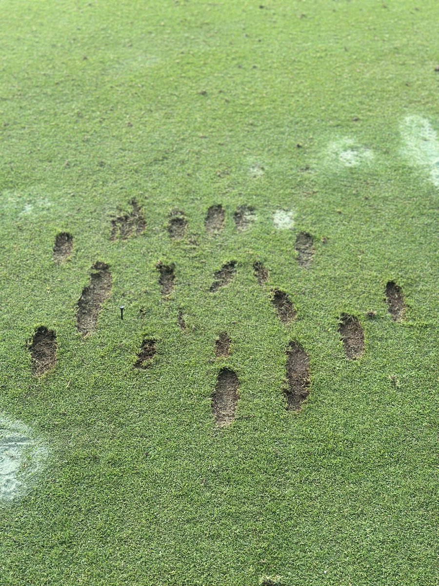 ClubProGuy's tweet photo. Another successful long iron #sesh. https://t.co/zXCLClUgTm