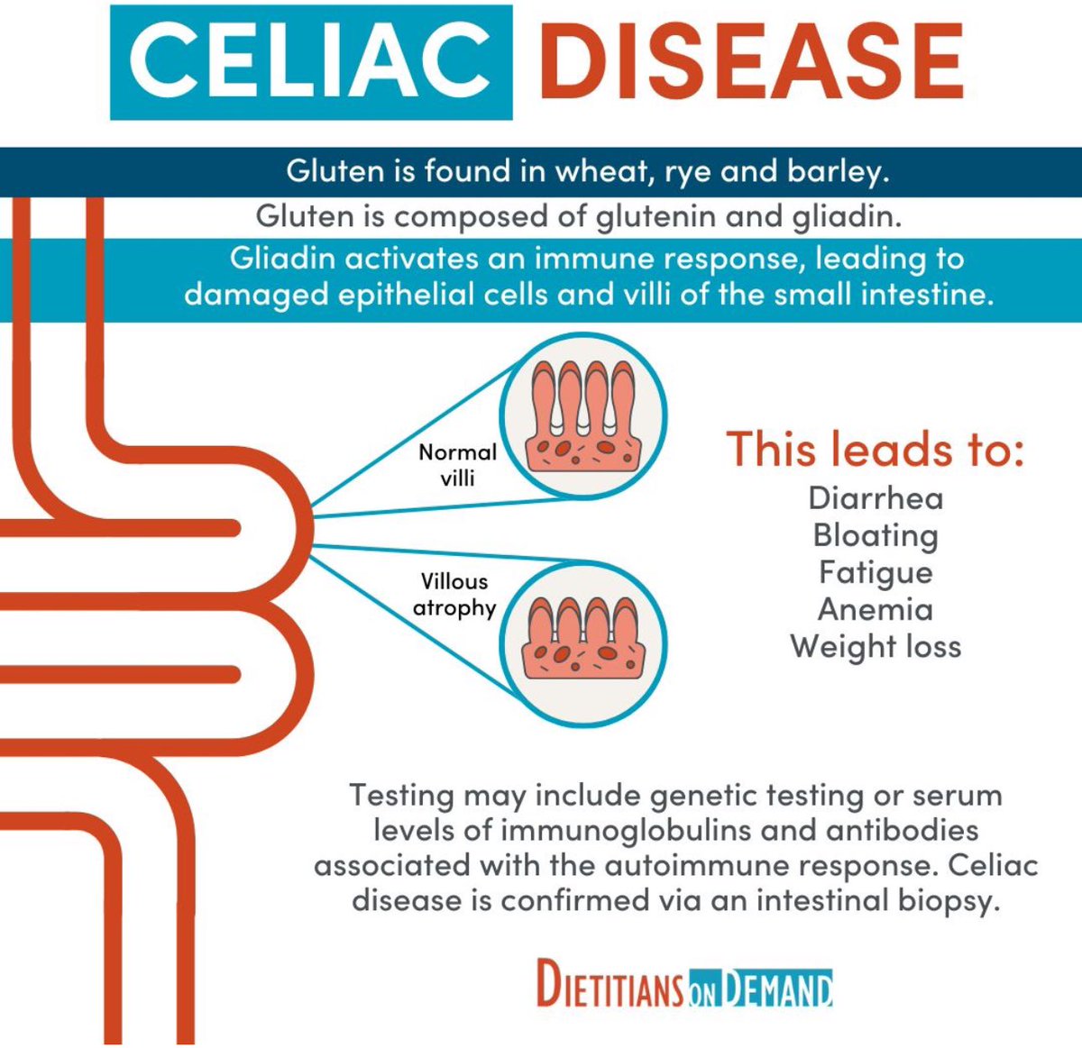 📌 Celiac Disease Explained

 Excellent graphic from @dietitiansondemand - they are “must follow”!

#nutritionista 
#rd2be #nutrition #wellness #celiac #celiacdisease #invisibleillness #medicalschool #celiacawareness #protein #gluten #doctor #health #ibd #medschool