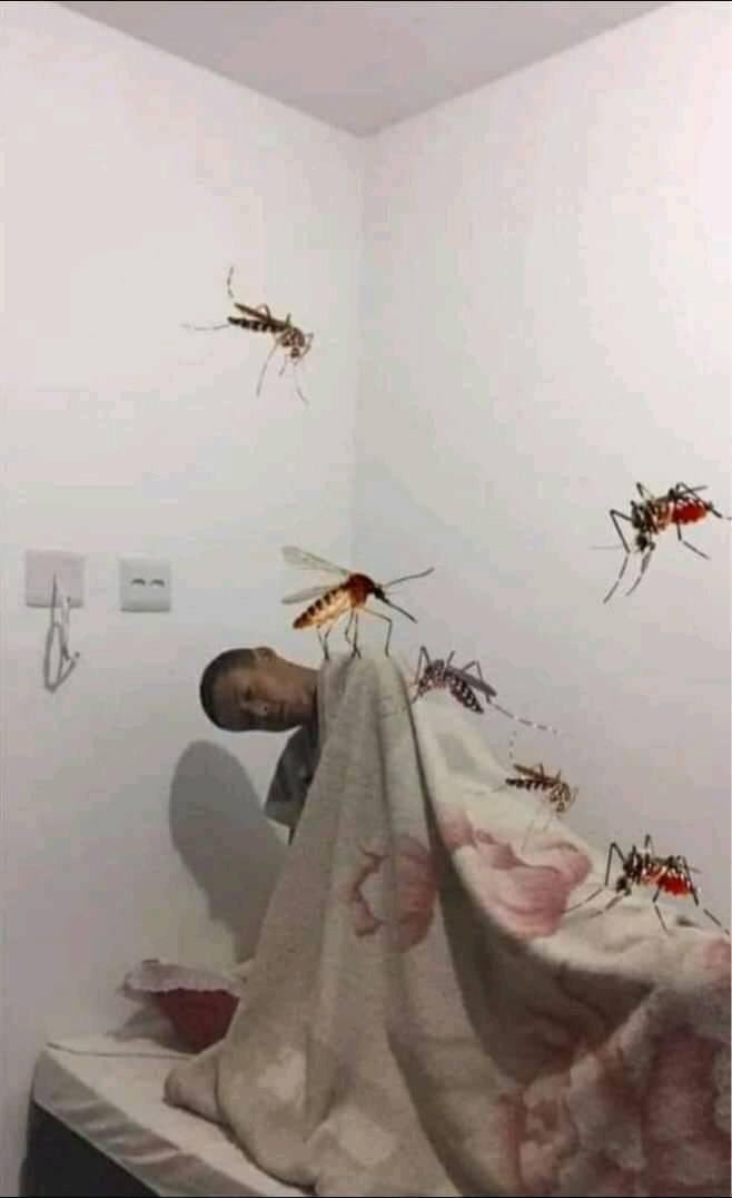 NazareAmarga's tweet image. "boa noite, durma com os anjos"

os anjos: