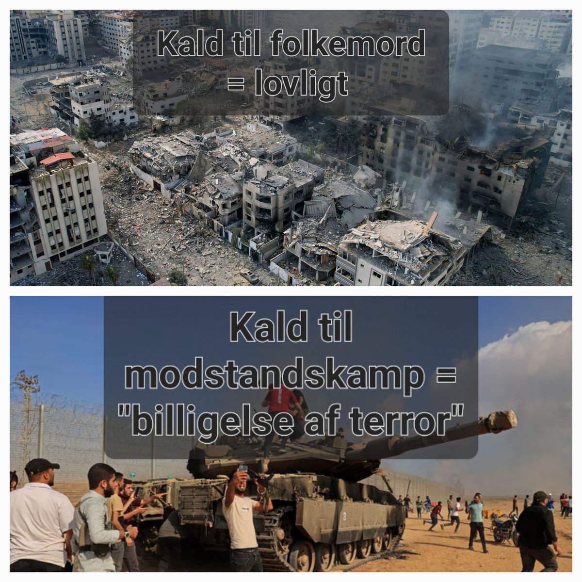Taimullah Abu-Laban tweet media
