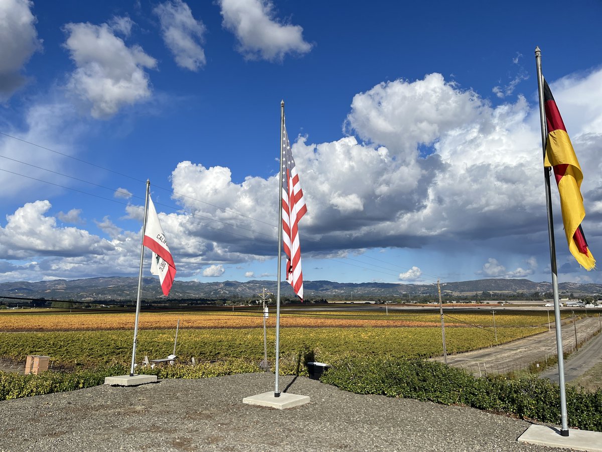 Schug Winery tweet media