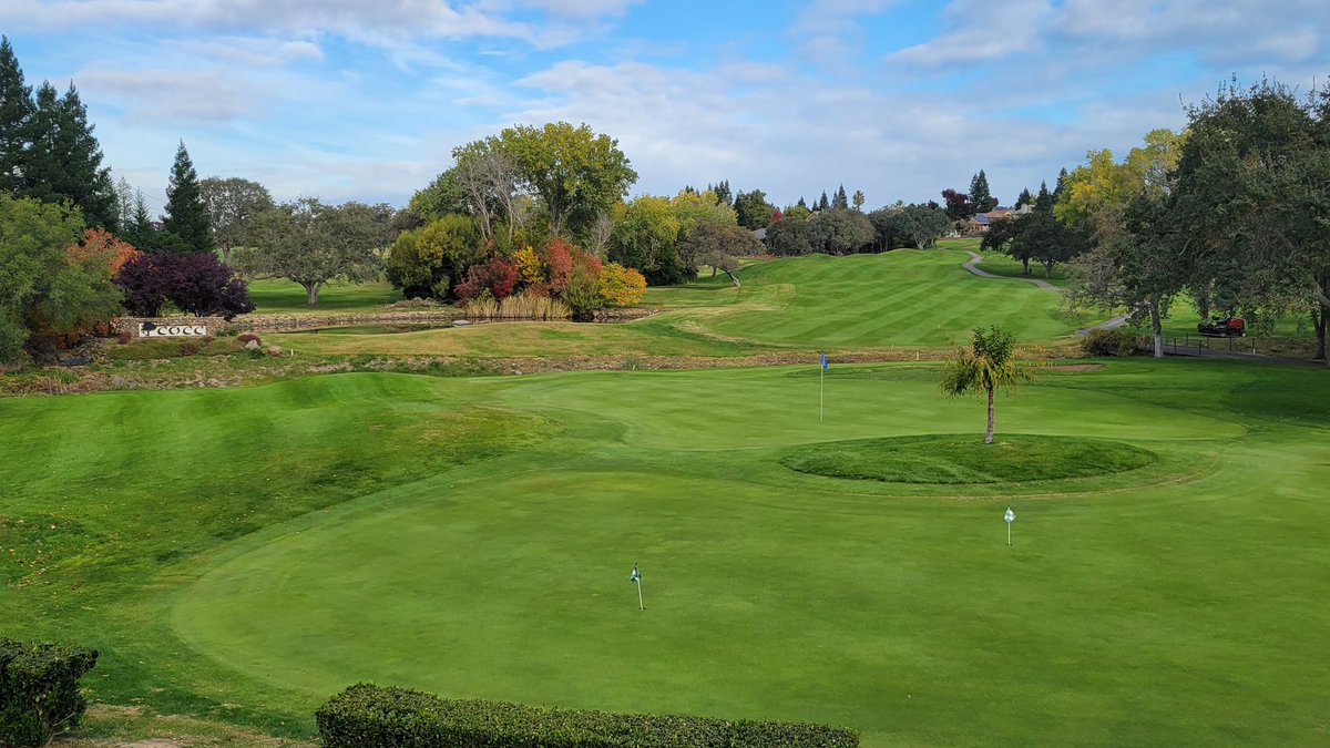 Clifford Carpenter tweet media