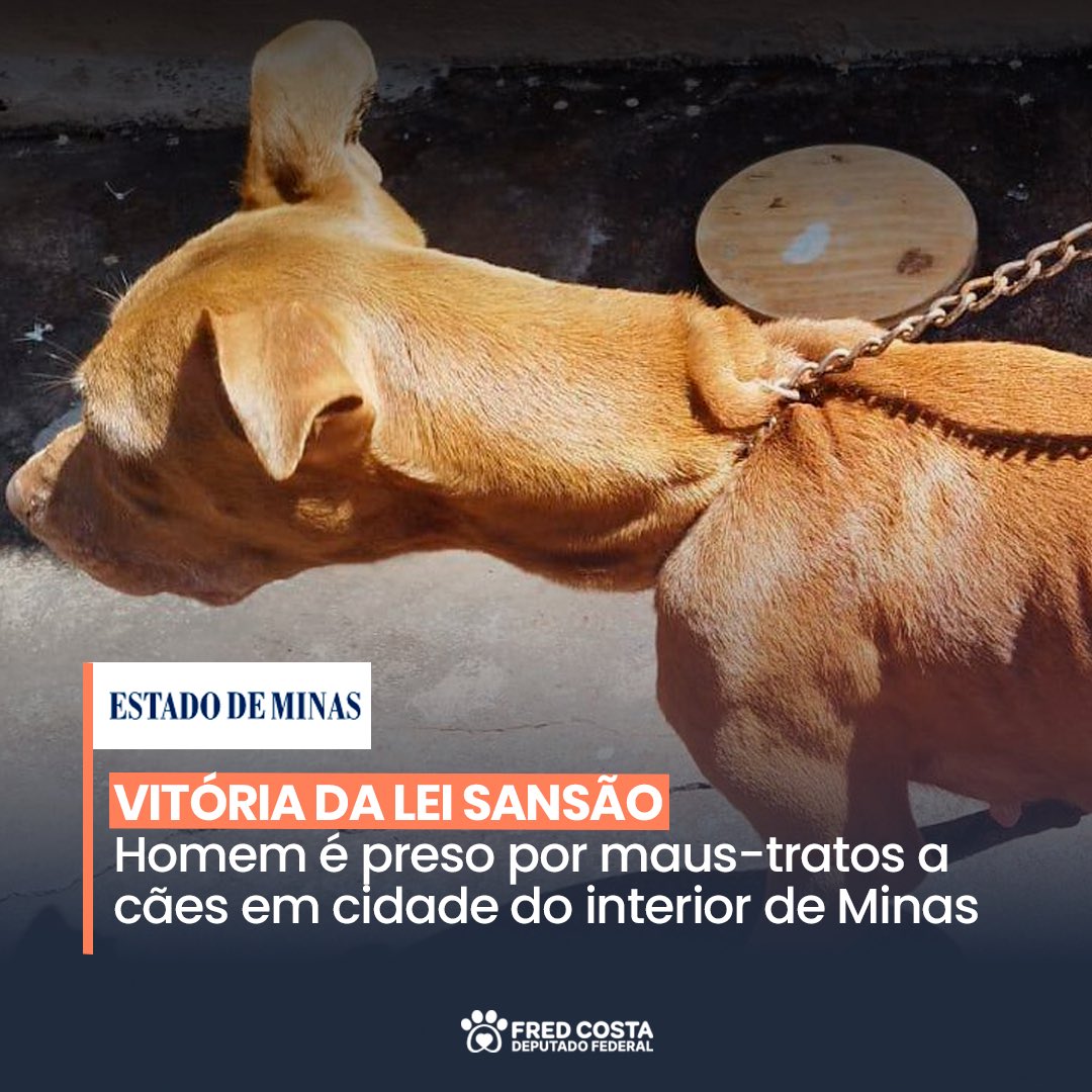 Fred Costa tweet media