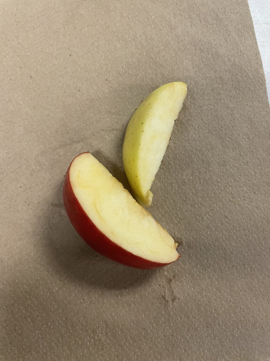 Thank you to <a href="/NSAgriculture/">NS Agriculture</a> for their support with the ‘all about apples’ program. The class used their 5 senses for the activity and they loved taste testing the different varieties of apples and listening to the ‘crunch’ the apple made as they bit into it!
