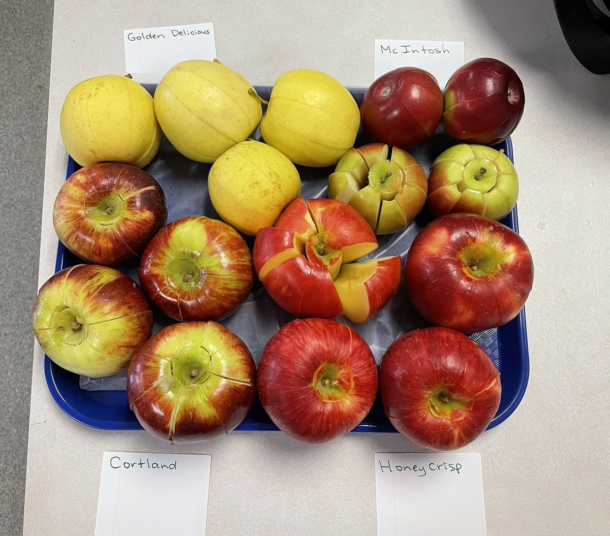 Primary Ng tweet media